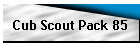 Cub Scout Pack 85