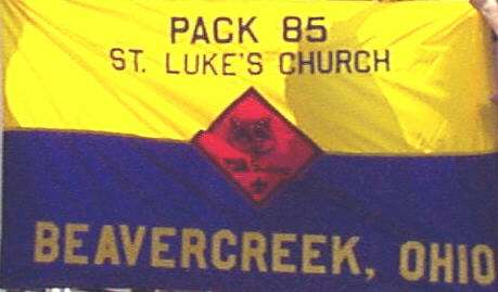 The Pack 85 Flag